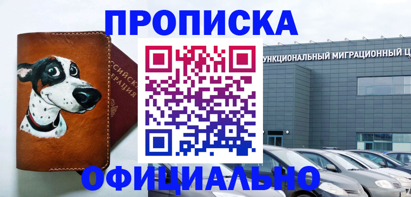 временная прописка в Скопине